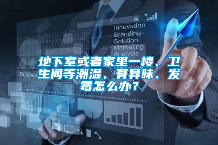 地下室或者家里一樓、衛生間等潮濕、有異味、發霉怎么辦?