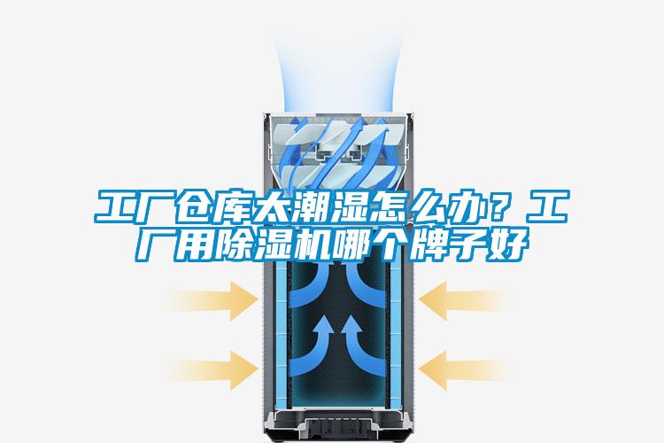 工廠倉庫太潮濕怎么辦？工廠用除濕機哪個牌子好