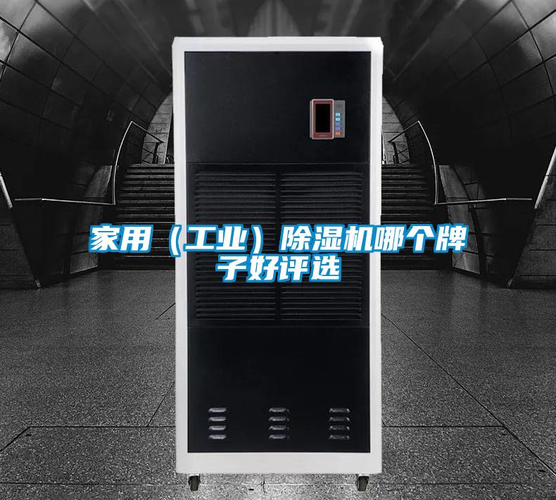 家用(工業(yè))除濕機哪個牌子好評選