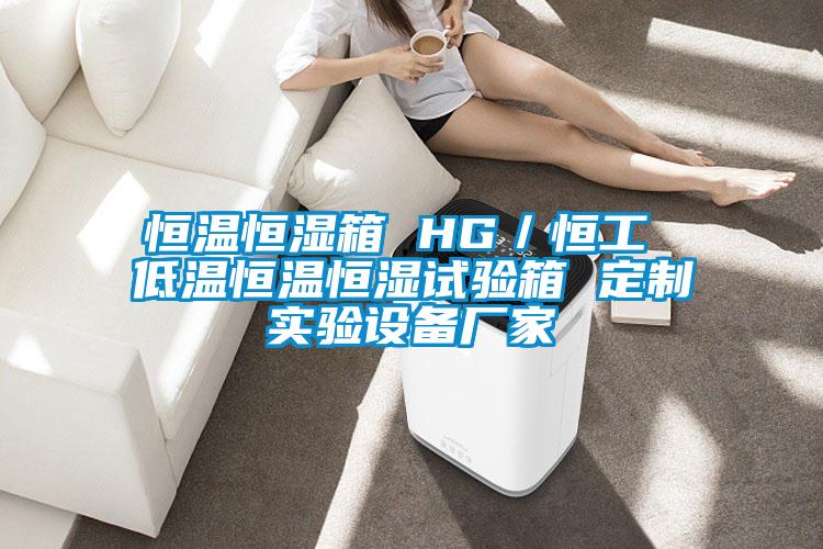恒溫恒濕箱 HG/恒工 低溫恒溫恒濕試驗箱 定制實驗設備廠家