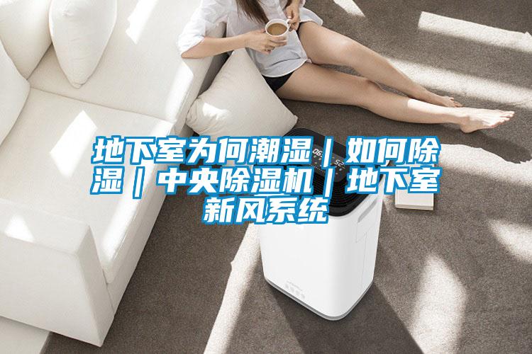 地下室為何潮濕|如何除濕|中央除濕機|地下室新風系統(tǒng)