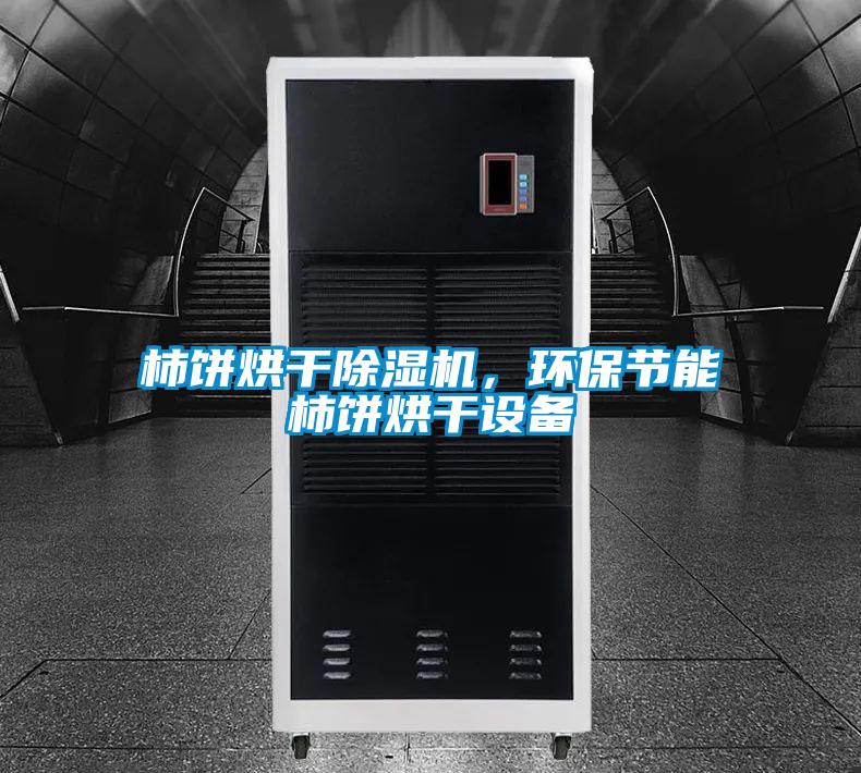 柿餅烘干除濕機，環保節能柿餅烘干設備