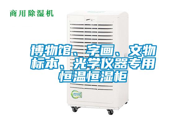 博物館、字畫、文物標本、光學儀器專用恒溫恒濕柜
