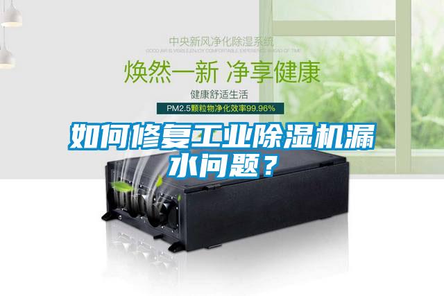如何修復工業除濕機漏水問題？