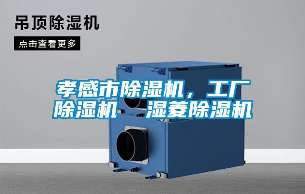 孝感市除濕機，工廠除濕機  濕菱除濕機