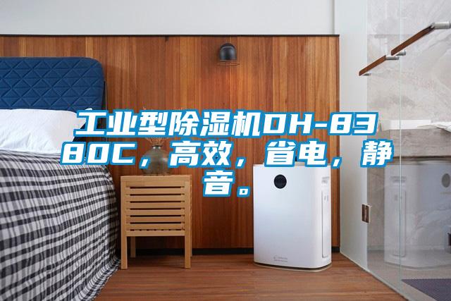 工業型除濕機DH-8380C，高效，省電，靜音。