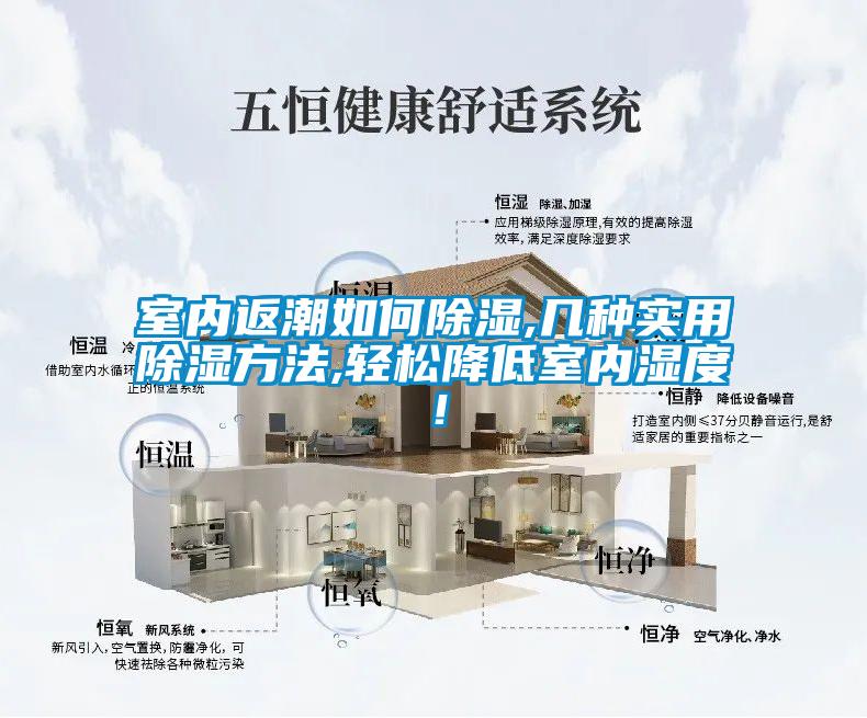 室內(nèi)返潮如何除濕,幾種實用除濕方法,輕松降低室內(nèi)濕度！