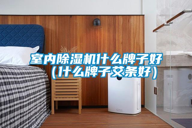 室內(nèi)除濕機(jī)什么牌子好(什么牌子艾條好)