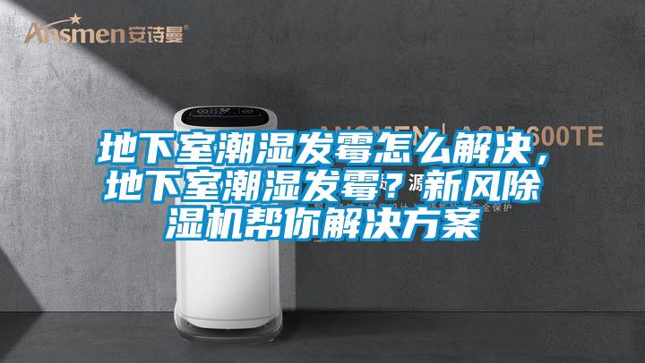 地下室潮濕發霉怎么解決,地下室潮濕發霉?新風除濕機幫你解決方案