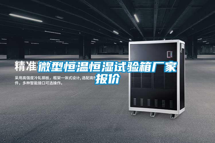 微型恒溫恒濕試驗(yàn)箱廠家報(bào)價(jià)