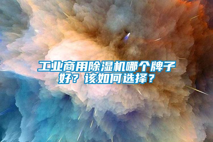 工業(yè)商用除濕機(jī)哪個(gè)牌子好？該如何選擇？