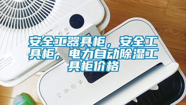 安全工器具柜，安全工具柜，電力自動(dòng)除濕工具柜價(jià)格