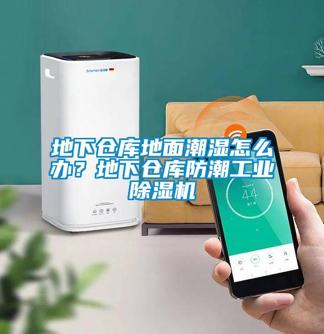 地下倉庫地面潮濕怎么辦？地下倉庫防潮工業(yè)除濕機(jī)