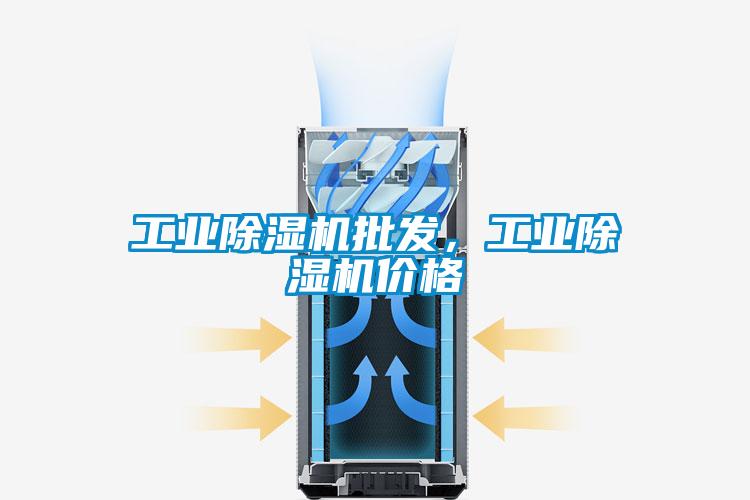 工業(yè)除濕機(jī)批發(fā),工業(yè)除濕機(jī)價(jià)格
