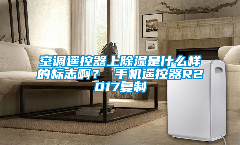 空調(diào)遙控器上除濕是什么樣的標(biāo)志啊？ 手機(jī)遙控器R2017復(fù)制