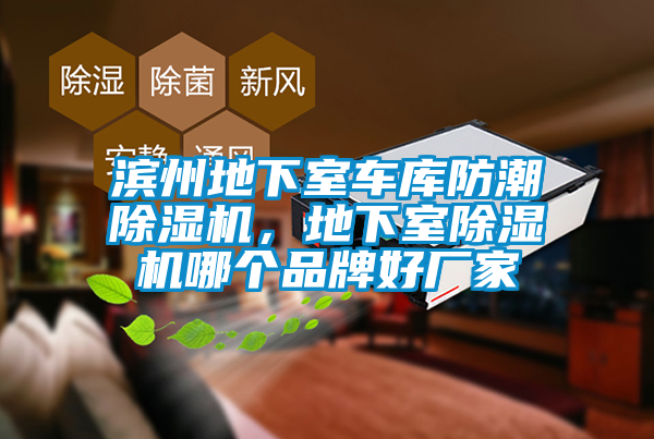 濱州地下室車庫(kù)防潮除濕機(jī)，地下室除濕機(jī)哪個(gè)品牌好廠家