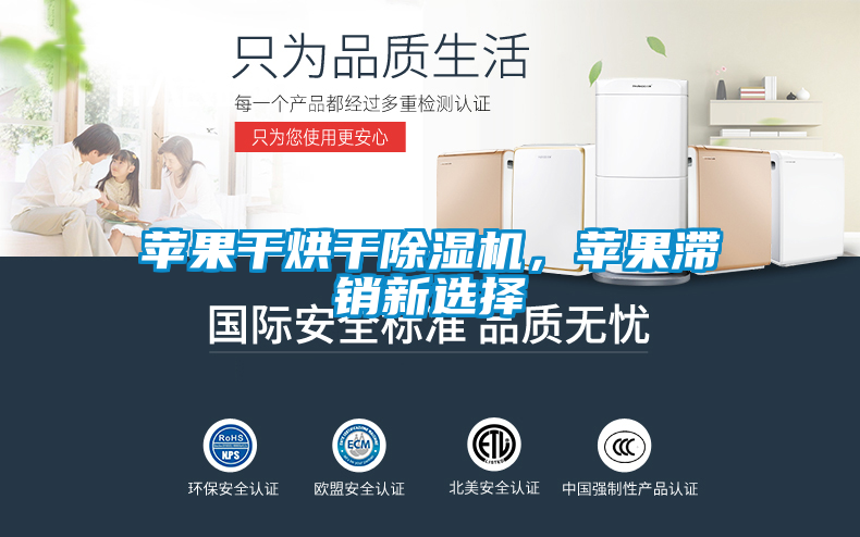 蘋果干烘干除濕機(jī)，蘋果滯銷新選擇
