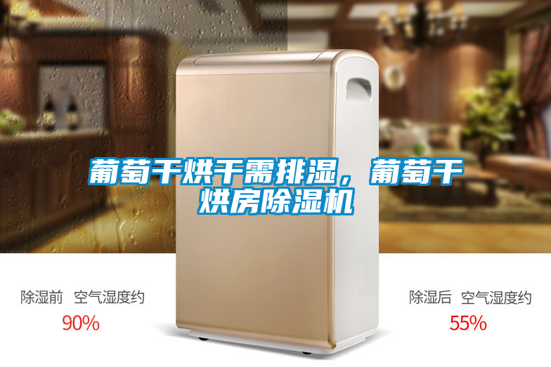 葡萄干烘干需排濕,葡萄干烘房除濕機(jī)