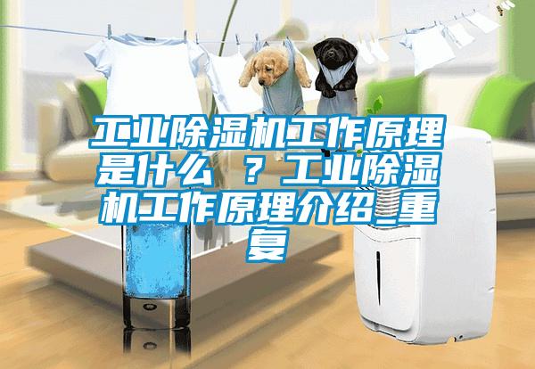 工業除濕機工作原理是什么 ？工業除濕機工作原理介紹_重復