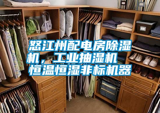 怒江州配電房除濕機,工業抽濕機 恒溫恒濕非標機器