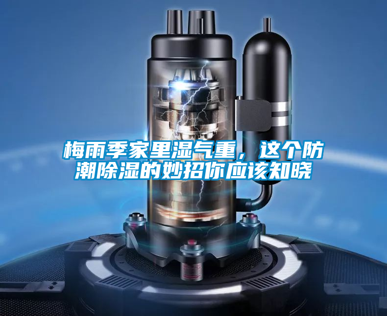 梅雨季家里濕氣重,這個防潮除濕的妙招你應該知曉