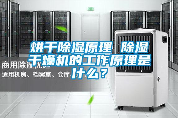 烘干除濕原理 除濕干燥機的工作原理是什么？