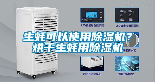 生蠔可以使用除濕機？烘干生蠔用除濕機