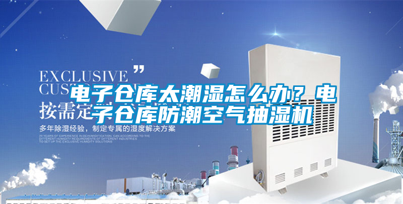 電子倉庫太潮濕怎么辦?電子倉庫防潮空氣抽濕機(jī)