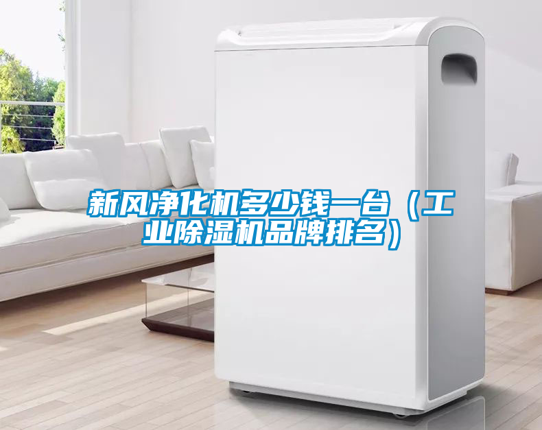 新風(fēng)凈化機(jī)多少錢一臺(工業(yè)除濕機(jī)品牌排名)