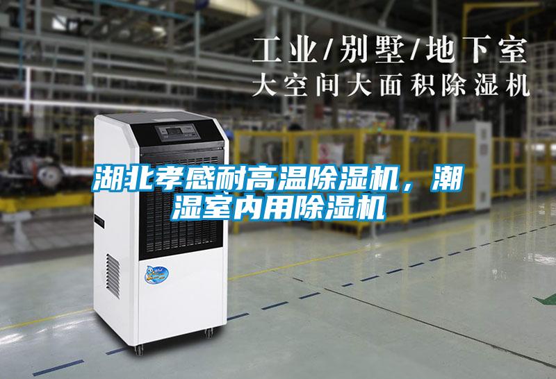 湖北孝感耐高溫除濕機(jī),潮濕室內(nèi)用除濕機(jī)