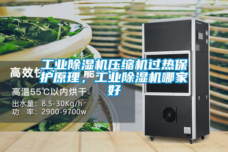 工業(yè)除濕機(jī)壓縮機(jī)過(guò)熱保護(hù)原理,工業(yè)除濕機(jī)哪家好