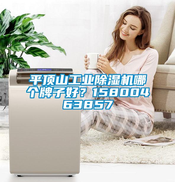 平頂山工業除濕機哪個牌子好？15800463857