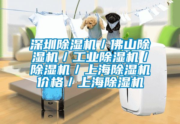 深圳除濕機/佛山除濕機/工業除濕機/除濕機/上海除濕機價格/上海除濕機
