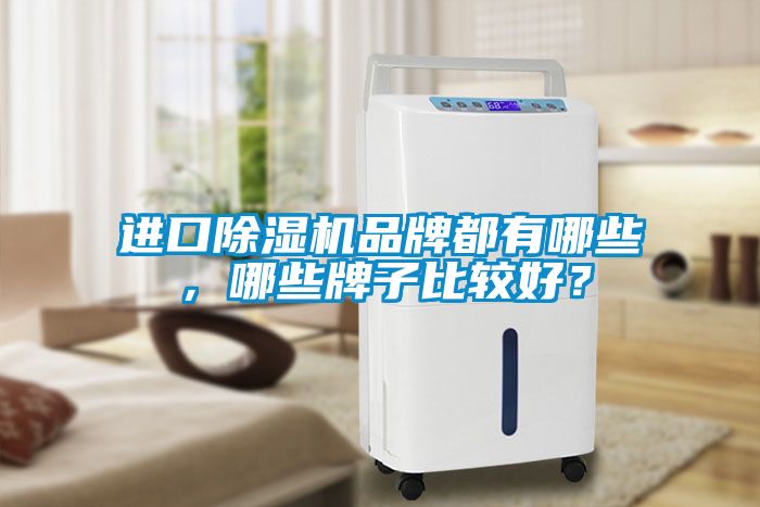 進口除濕機品牌都有哪些，哪些牌子比較好？