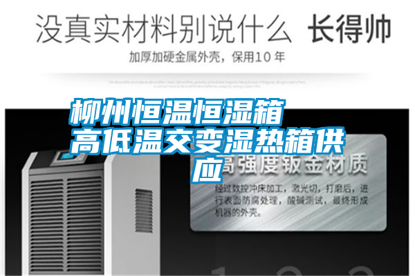 柳州恒溫恒濕箱 高低溫交變濕熱箱供應(yīng)