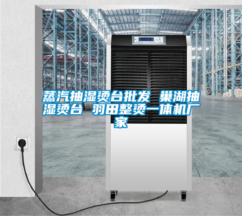 蒸汽抽濕燙臺(tái)批發(fā) 巢湖抽濕燙臺(tái) 羽田整燙一體機(jī)廠家