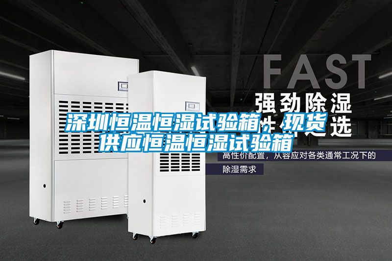 深圳恒溫恒濕試驗箱，現貨供應恒溫恒濕試驗箱