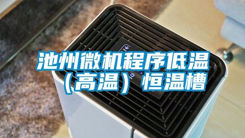 池州微機程序低溫(高溫)恒溫槽