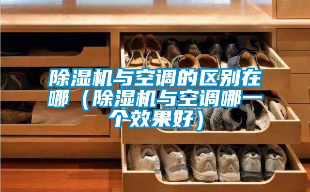 除濕機(jī)與空調(diào)的區(qū)別在哪(除濕機(jī)與空調(diào)哪一個(gè)效果好)