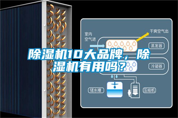 除濕機10大品牌,除濕機有用嗎?