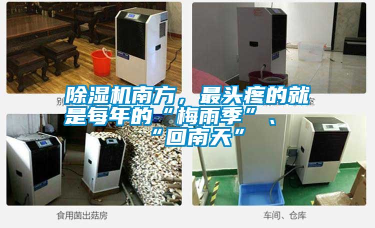除濕機南方，最頭疼的就是每年的“梅雨季”、“回南天”