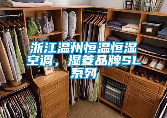 浙江溫州恒溫恒濕空調，濕菱品牌SL系列