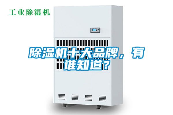 除濕機十大品牌，有誰知道？