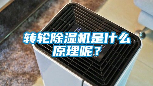 轉輪除濕機是什么原理呢?