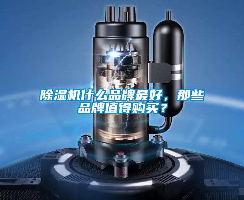 除濕機(jī)什么品牌最好,那些品牌值得購(gòu)買(mǎi)?
