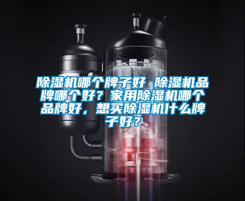 除濕機哪個牌子好 除濕機品牌哪個好？家用除濕機哪個品牌好，想買除濕機什么牌子好？