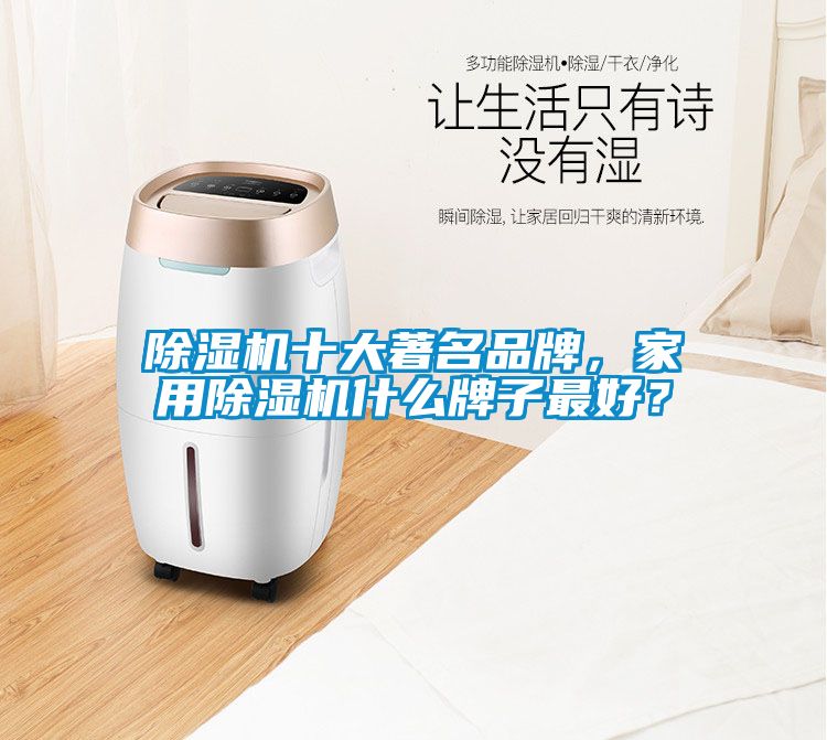 除濕機(jī)十大著名品牌,家用除濕機(jī)什么牌子最好?