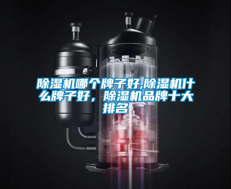 除濕機哪個牌子好,除濕機什么牌子好，除濕機品牌十大排名