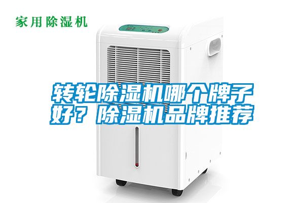 轉輪除濕機哪個牌子好?除濕機品牌推薦