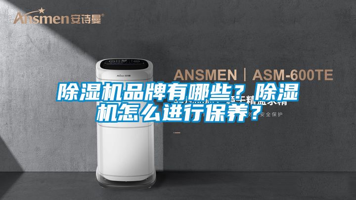 除濕機(jī)品牌有哪些?除濕機(jī)怎么進(jìn)行保養(yǎng)?